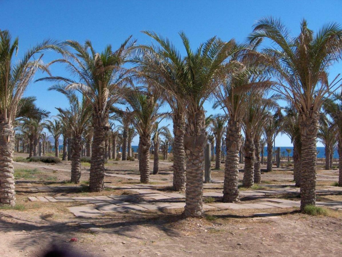 Golf Y Playa Junto Al Cabo De Gata Apartment Алмерия Екстериор снимка